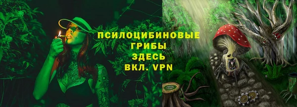 PSILOCYBIN Верхний Тагил